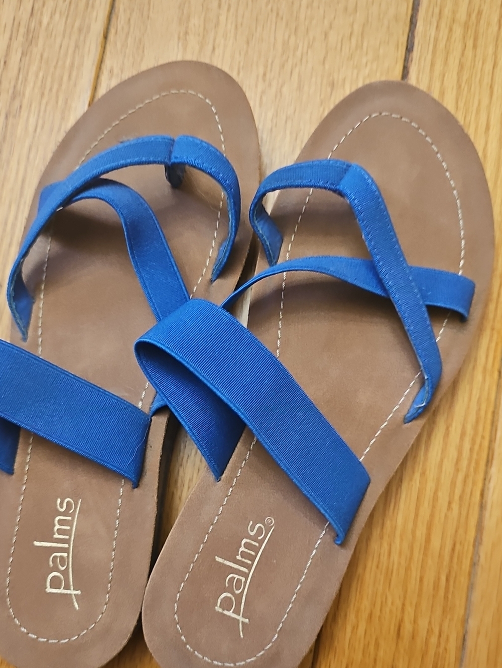 Palms Women's Blue Strappy Sandals